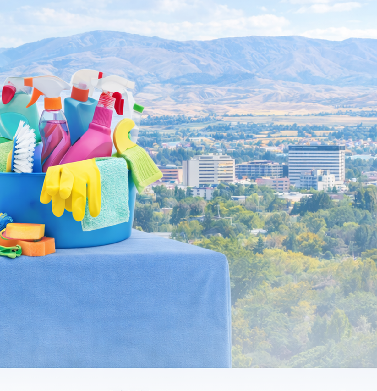 Cleaning supplies